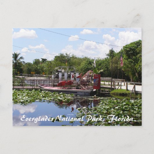 Nationalpark Everglades, Florida Postkarte (Vorderseite)