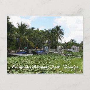 Nationalpark Everglades, Florida Postkarte