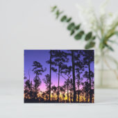 Nationalpark Everglades, Gebiet um Pinelands, Flor Postkarte (Stehend Vorderseite)