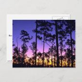 Nationalpark Everglades, Gebiet um Pinelands, Flor Postkarte (Vorne/Hinten)