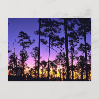 Nationalpark Everglades, Gebiet um Pinelands, Flor Postkarte