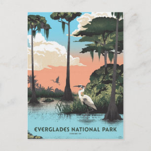 Nationalpark Everglades Postkarte