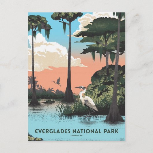 Nationalpark Everglades Postkarte (Vorderseite)