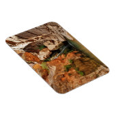 Nationalpark Grand Canyon, Arizona Magnet (Rechte Seite)