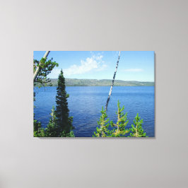 Nationalpark Grand teton. Leinwanddruck