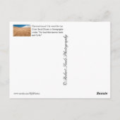 Nationalpark Great Sand Dunes Postkarte (Rückseite)