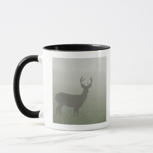 Nationalpark Great Smoky Mountains, Tennesse, Tasse (Links)