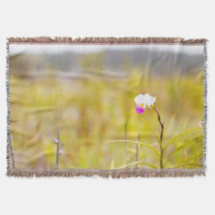 Nationalpark Hawaii Tropical Orchid Decke