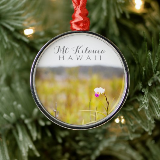 Nationalpark Hawaii Tropical Orchid Ornament Aus Metall (Baum)