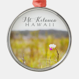 Nationalpark Hawaii Tropical Orchid Ornament Aus Metall