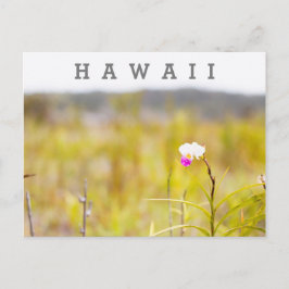 Nationalpark Hawaii Tropical Orchid Postkarte