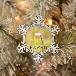 Nationalpark Hawaii Tropical Orchid Schneeflocken Zinn-Ornament