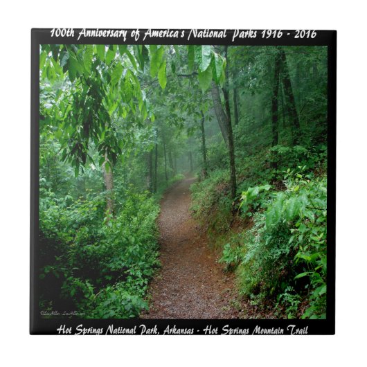 Nationalpark Jubiläum Hot Springs Mt Fliese (Vorderseite)