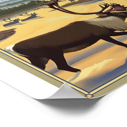 Nationalpark Kobuk Poster (Ecke)