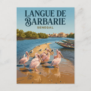 Nationalpark Langue de Barbarie Senegal Postkarte