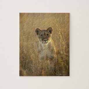 Nationalpark Löwe-CUBs   Hwange, Simbabwe Puzzle