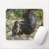 Nationalpark Mahale Mountains, Tansania Mousepad (Mit Mouse)