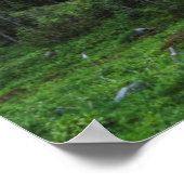 Nationalpark Mount Rainier Poster (Ecke)