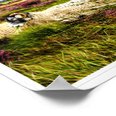 NATIONALPARK NORDYORK MOORK - NORDYORKSHIRE POSTER (Ecke)