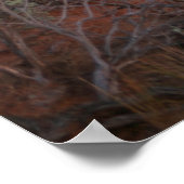 Nationalpark Poster (Ecke)