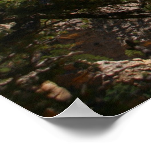 Nationalpark Poster (Ecke)