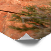 Nationalpark Poster (Ecke)