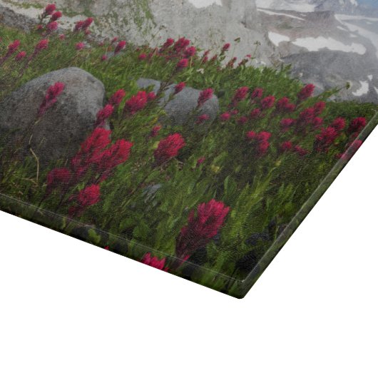 Nationalpark Rainier, Berg Rainier 1 Schneidebrett (Ecke)