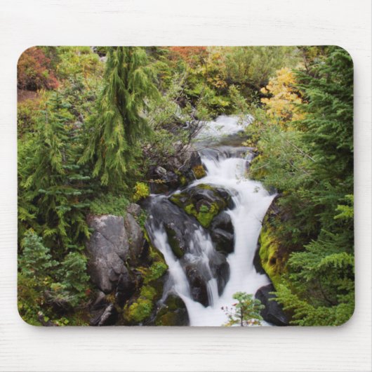 Nationalpark Rainier, Herbststrom Mousepad (Vorne)