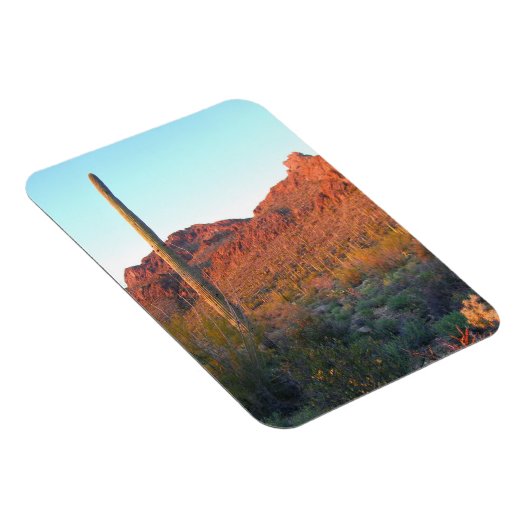 Nationalpark Saguaro Magnet (Rechte Seite)