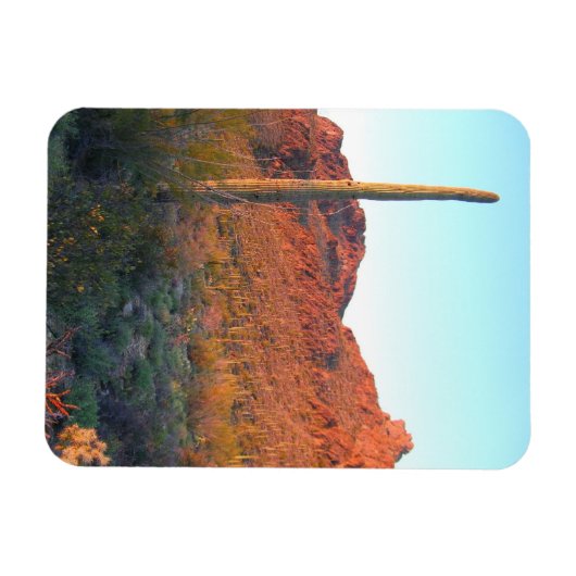 Nationalpark Saguaro Magnet (Horizontal)