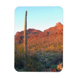 Nationalpark Saguaro Magnet