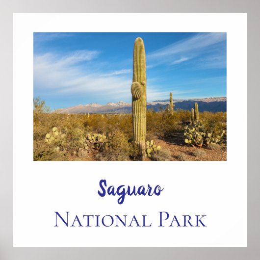 Nationalpark Saguaro Poster (Vorne)