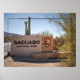 Nationalpark Saguaro - Wüstenposter in Arizona Poster