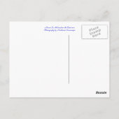 Nationalpark St. Helens Postkarte (Rückseite)