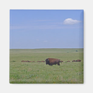 Nationalpark Tallgrass Prairie - Kansas Magnet