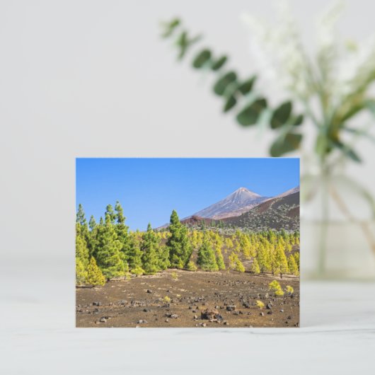 Nationalpark Teide Landschaft Teneriffa Postkarte (Stehend Vorderseite)