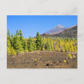 Nationalpark Teide Landschaft Teneriffa Postkarte (Vorderseite)