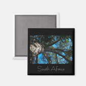 Nationalpark Tsitsikamma Südafrika Magnet (Vorderseite/Rückseite)