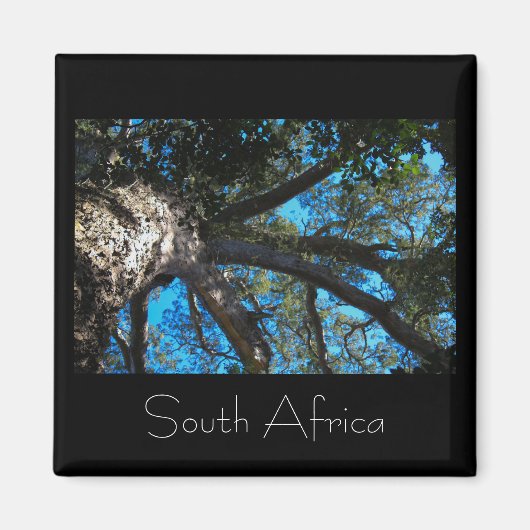 Nationalpark Tsitsikamma Südafrika Magnet (Vorne)