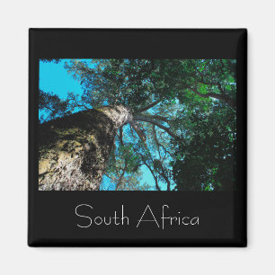 Nationalpark Tsitsikamma Südafrika Magnet