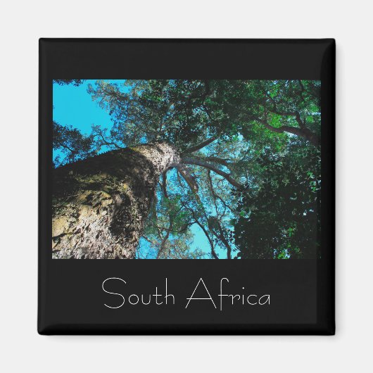 Nationalpark Tsitsikamma Südafrika Magnet (Vorne)
