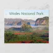Nationalpark Viñales, Pinar del Rio, Kuba Postkarte (Vorderseite)
