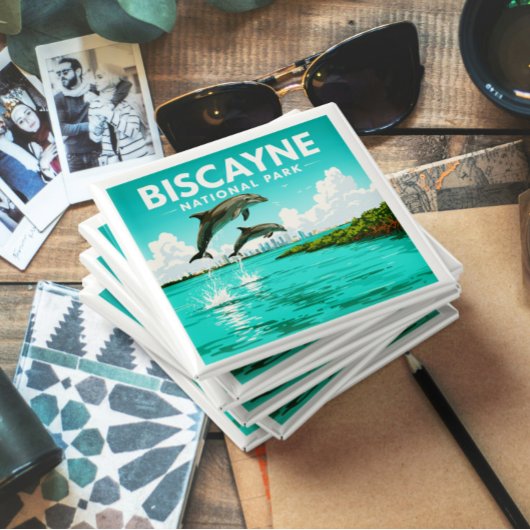 Nationalpark Vintag Biscayne Magnet