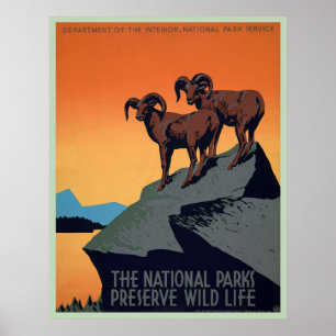 Nationalpark-Vintages Plakat