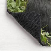 Nationalpark Vulkane, Gorilla Mousepad (Ecke)