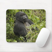 Nationalpark Vulkane, Gorilla Mousepad (Mit Mouse)