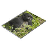 Nationalpark Vulkane, Gorilla Notizblock (Linke Seite)