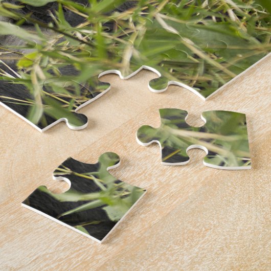 Nationalpark Vulkane, Gorilla Puzzle (Seite)