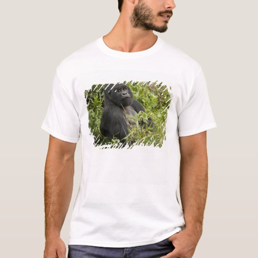 Nationalpark Vulkane, Gorilla T-Shirt (Vorderseite)