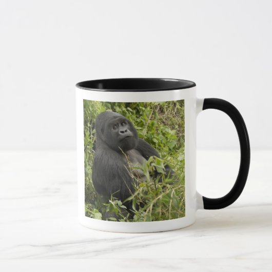 Nationalpark Vulkane, Gorilla Tasse (Rechts)